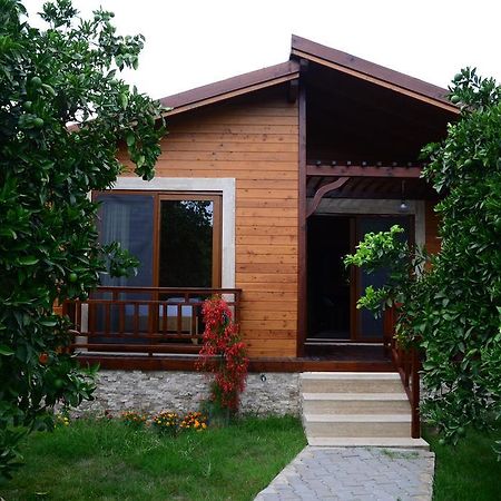 Villa Bilge Çıralı Szoba fotó