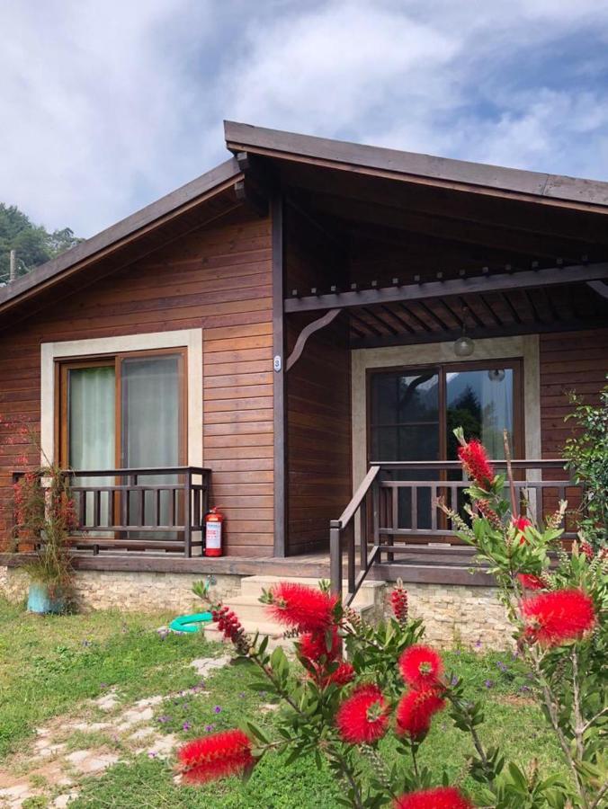 Villa Bilge Çıralı Kültér fotó