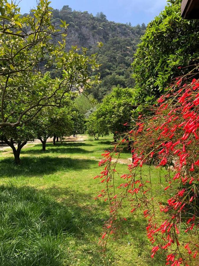 Villa Bilge Çıralı Kültér fotó