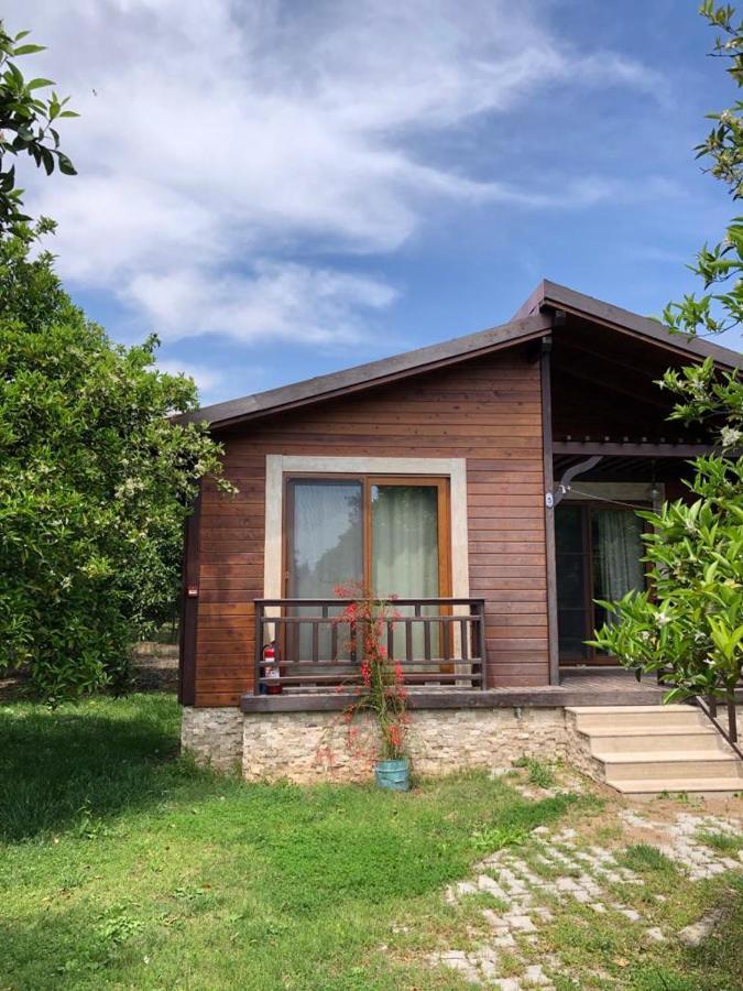 Villa Bilge Çıralı Kültér fotó